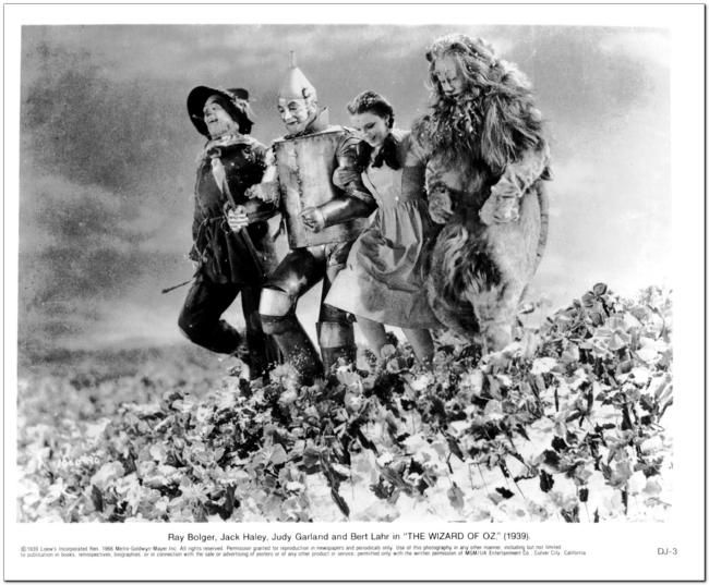 Wizard of Oz - Reproduction Photo #1